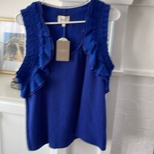 Anthropologie Blue top with ruffle detail around each sleeve sz Large.